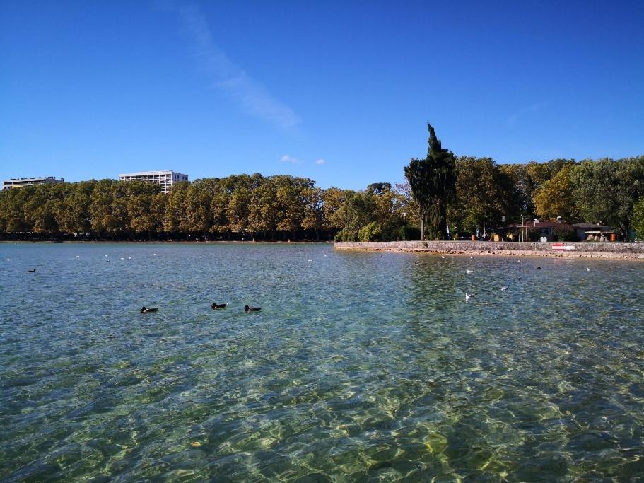 אנסי Studio Moderne, Place Parking Prive, Emplacement Ideal A 100 M Du Lac. מראה חיצוני תמונה